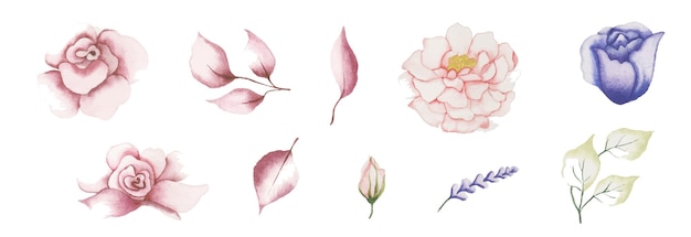 Vector handmade watercolor floral art design