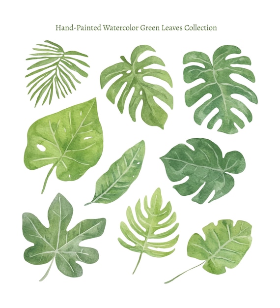 HandPainted Watercolor Green Leaves Collection