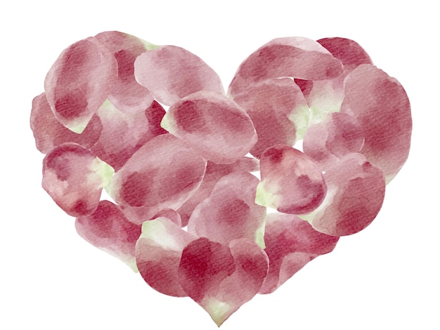 Handpainted watercolor pink rose petals heart