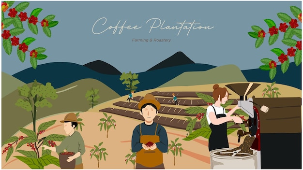 Handrawing coffee plantation