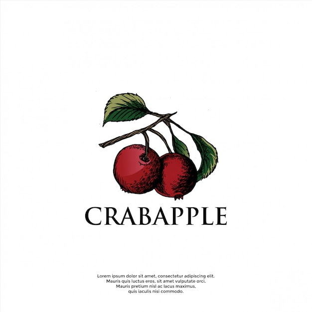 Handrawn crabapple logo template