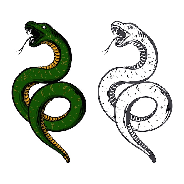 Illustrazione di serpente disegnata a mano