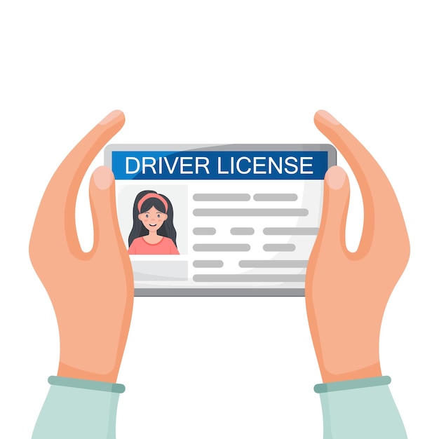 Hands are holding a driver's license photo id vector illustration in flat style isolated