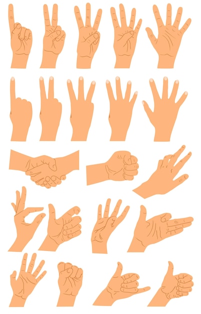 Vector hands and arms expressions poses big set ok help handshake and press touch praying and meditation