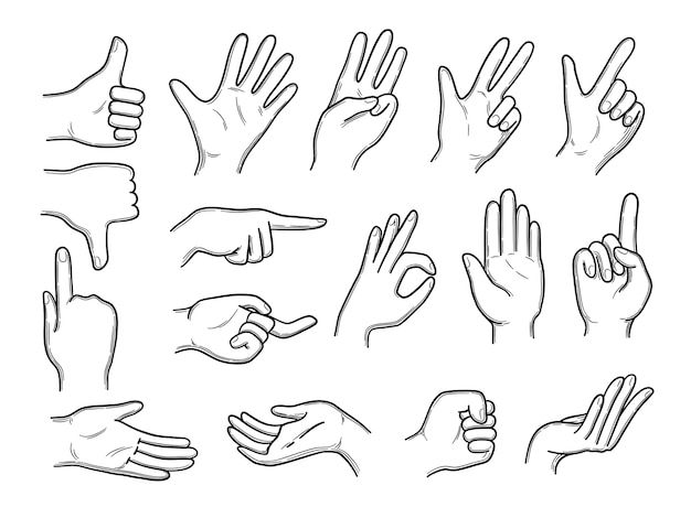 Hands doodles. Expression gestures human hands pointing shaking vector hand drawn style. Human gesture expression hand, thumb and palm illustration