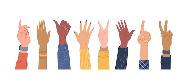 Vector hands gesture multi ethnic diversity skins palms