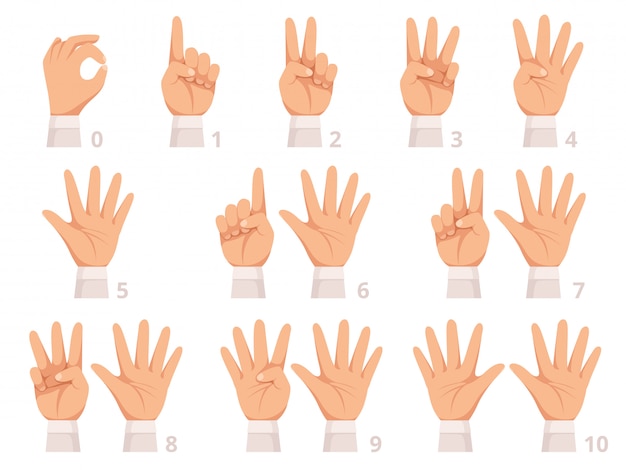 Hands gesture numbers. Human palm and fingers show different numbers cartoon illustration