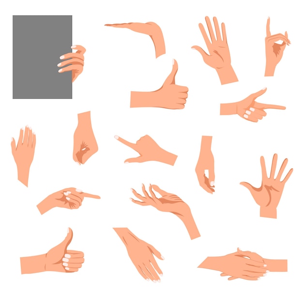 Hands gestures illustration isolated