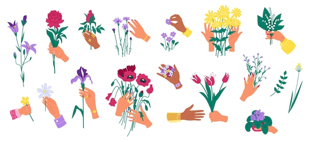Руки держат цветы, изолированные на белом набор