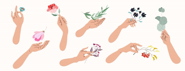 Mani che tengono fiori e rami di albero. raccolta delle illustrazioni isolate delle mani femminili che tengono i botanicals differenti. concetto di bellezza e natura.