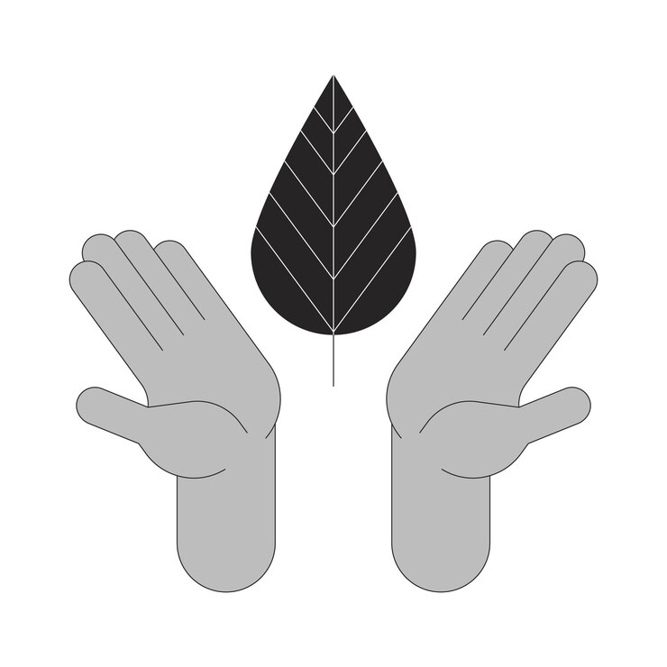 Vector hands holding leaf outline illustration