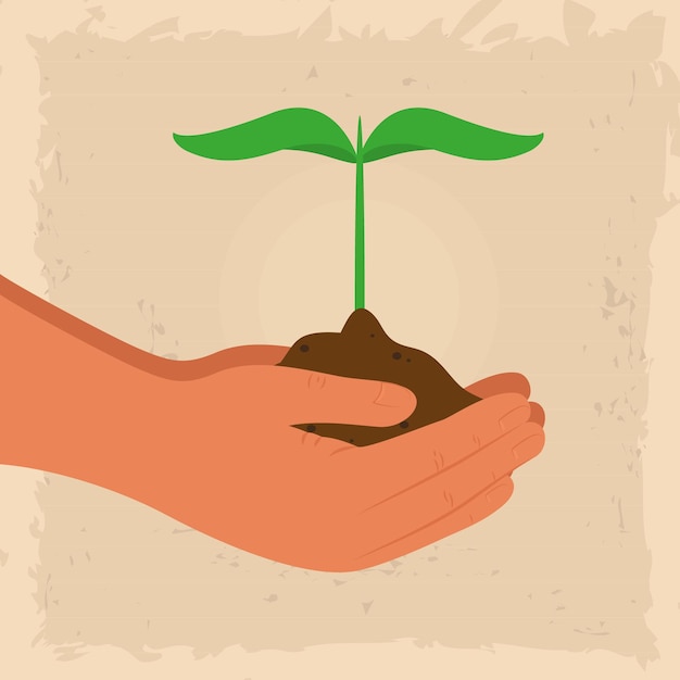 Vector hands holding a plant illustration