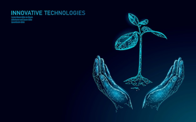 植物の手を保持している芽の生態学的な抽象的な概念。 3dレンダリングの苗木の葉。惑星の自然環境を保存する生命エコポリゴン三角形低ポリイラストを育てる