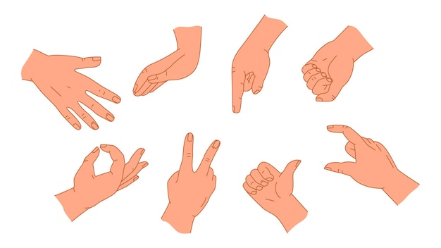 Vettore pose delle mani mostrando segnali sagome di mani in varie situazioni per il web infografico