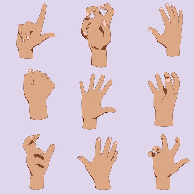 Vector hands poses