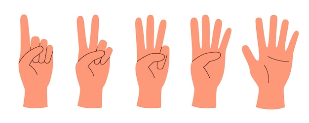 Vector hands set with numbers