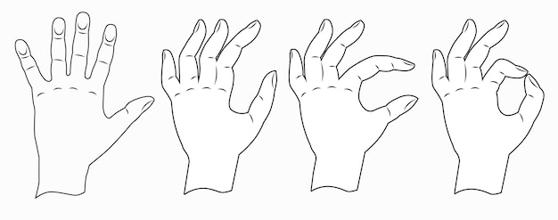 Hands show the sign everything is fine hands drawn with a thin line vector illustration