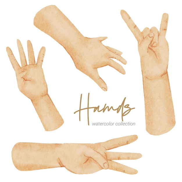 Vector hands watercolor hand paint collection