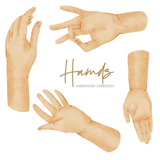 Vector hands watercolor hand paint collection