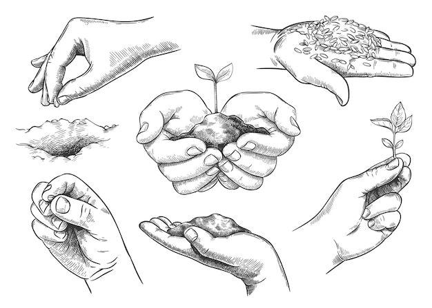 Hands with plant sprout. farmer hand holding soil and planting seeds. save nature, grow new trees. agriculture and ecology sketch vector set. environmental protection symbols isolated