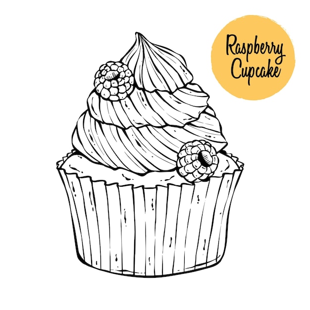 Handtekening raspberry cupcake illustratie smakelijke zoete voedselbakkerij