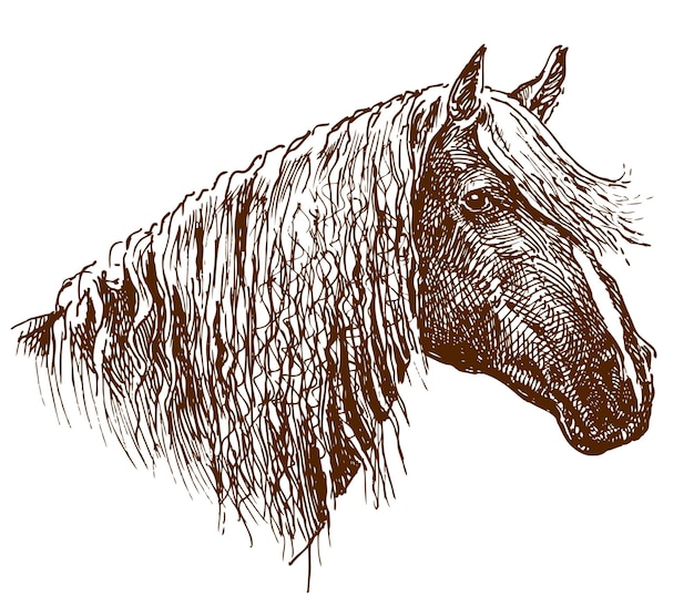 Vector handtekening van hoofd verdrietig rood paard met lange manen en pony's vector schets geïsoleerd op wit