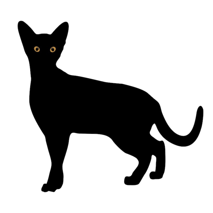 Vector handtekening van zwarte katten silhouetten ontwerp