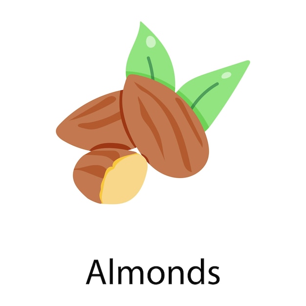 A handy flat icon of almonds