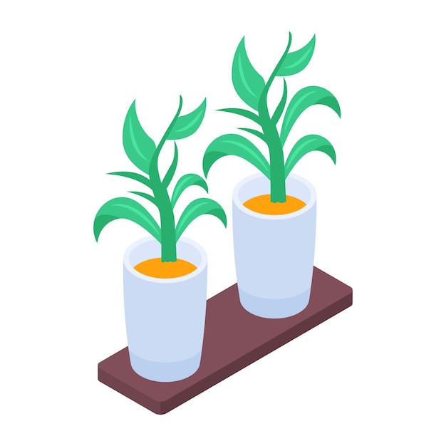 Handy isometric icon of plant pots