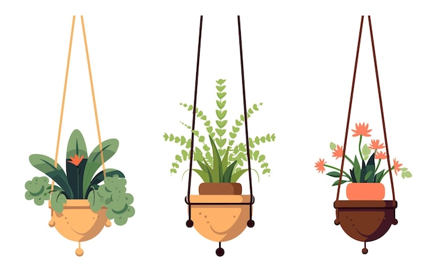 Hanging flower pots plant pots illustration hanging flower pots plant pots for home decor