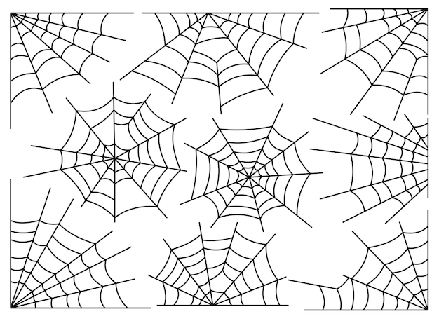掛かる, ハロウィーン, クモの巣, くも, 網, セット, 隔離された, 白, 背景