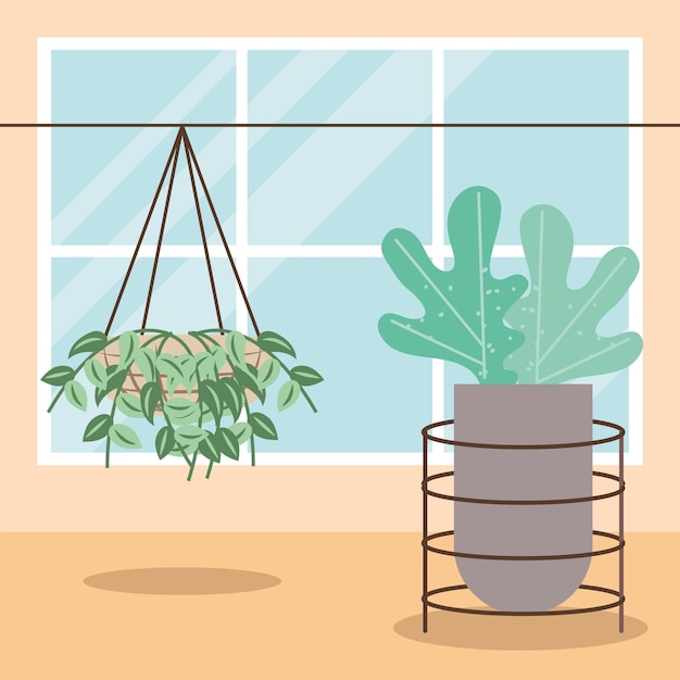 Vector hanging houseplant interior