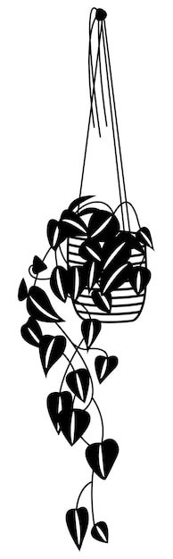 Hanging plant in pot drawing