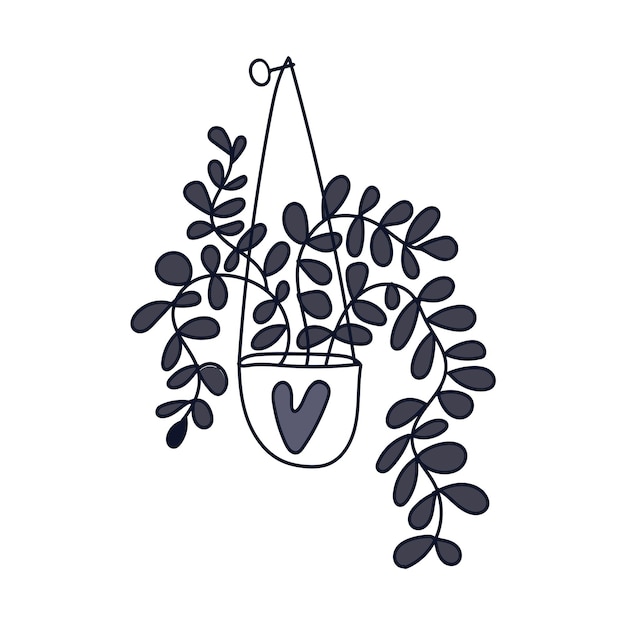 Vector hanging potted house plant drawn by hand