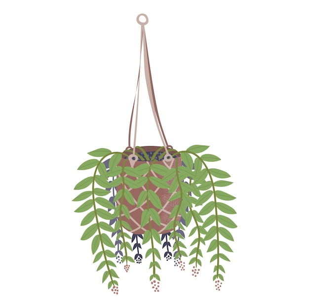 Vector hanging potted plant with green leaves and trailing vines indoor gardening and home decor concept