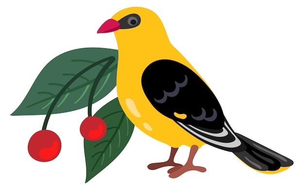 Hangvogel