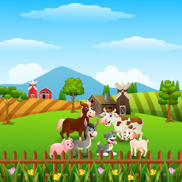 Happy animals at farm background