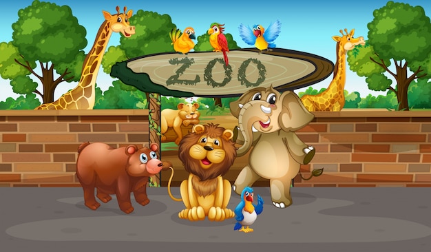 Счастливые животные в зоопарке