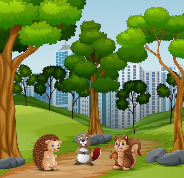Happy animals playing in the forest