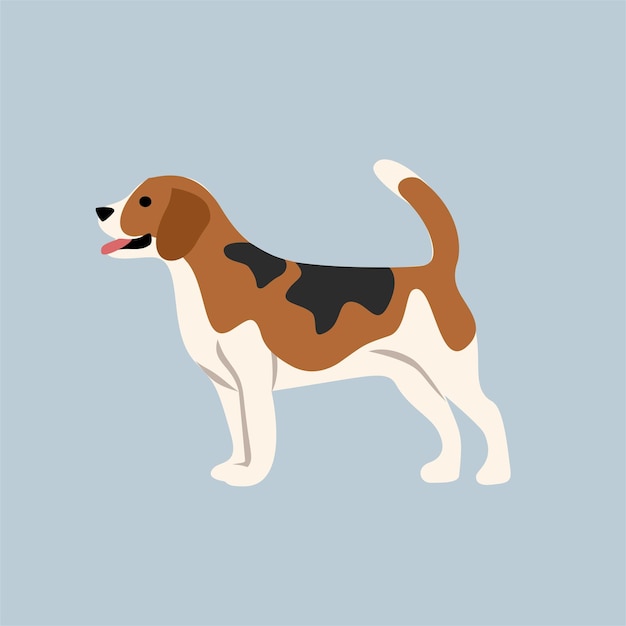 happy beagle dog illustration