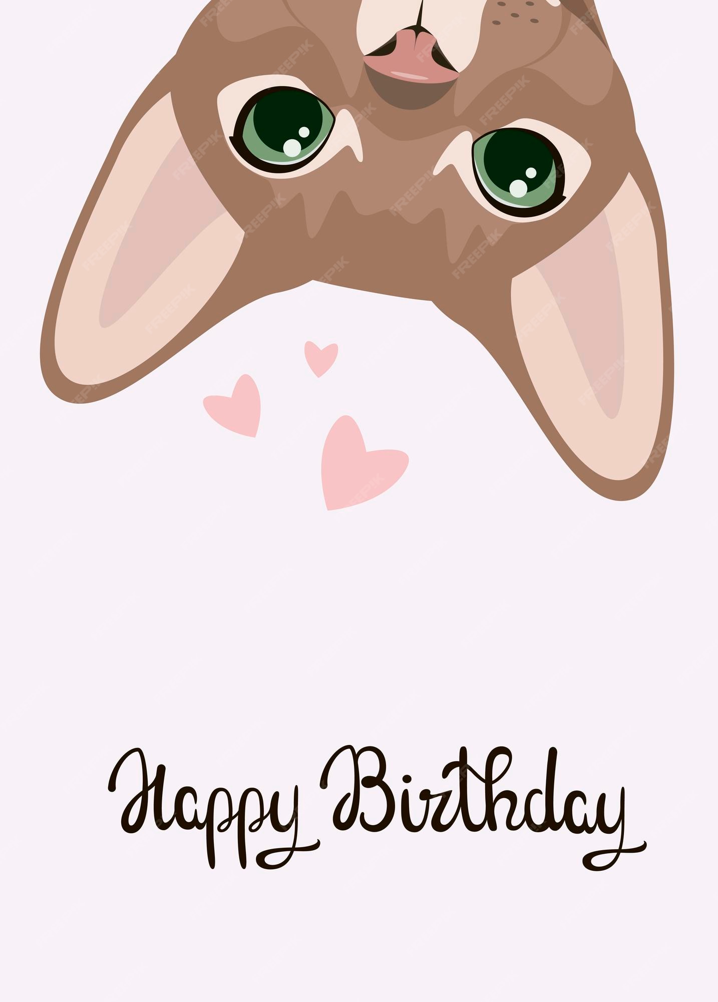 Premium Vector | Happy birthday card. funny cat. cartoon design. Premium Vector | Happy birthday card. funny cat. cartoon design.