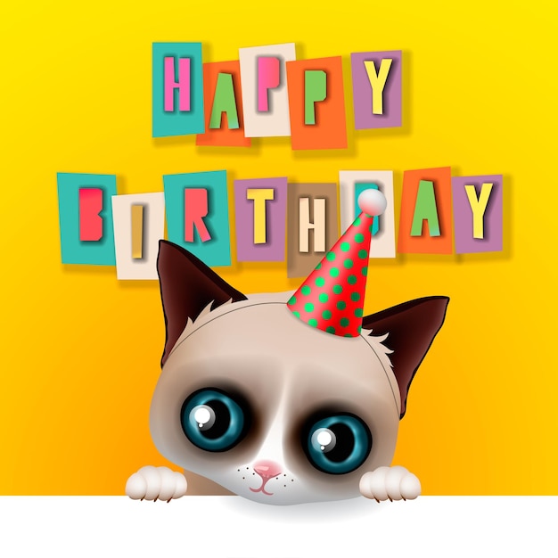 Happy birthday card with fun grumpy cat hipster design vector illustration