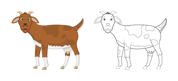 Счастливая мультяшная коза с линейным искусством, козий набросок без цвета на белом фоне.