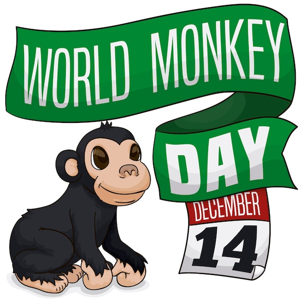 Happy chimp for World Monkey Day with greeting ribbons and calendar reminding the date 14th December