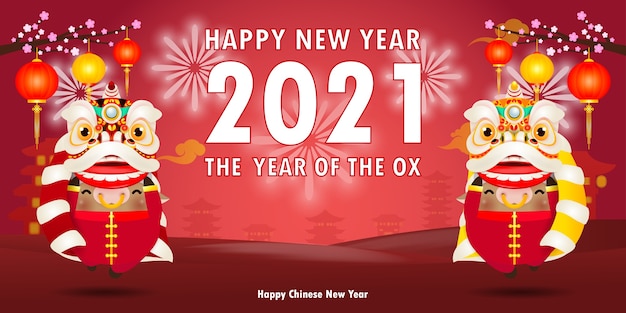 happy chinese new year 2021 the ox zodiac poster design with cute little cow firecracker and lion, dance the year of the ox greeting card red color isolated on background, translation: happy new year