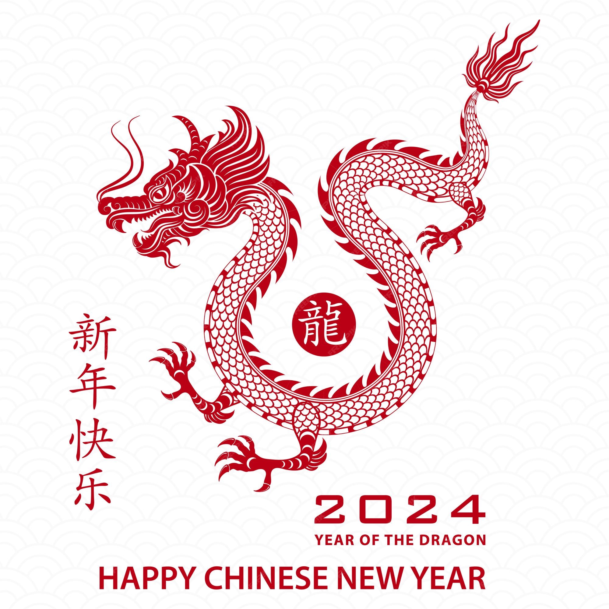 2024 Chinese New Year Decorations & Party Supplies