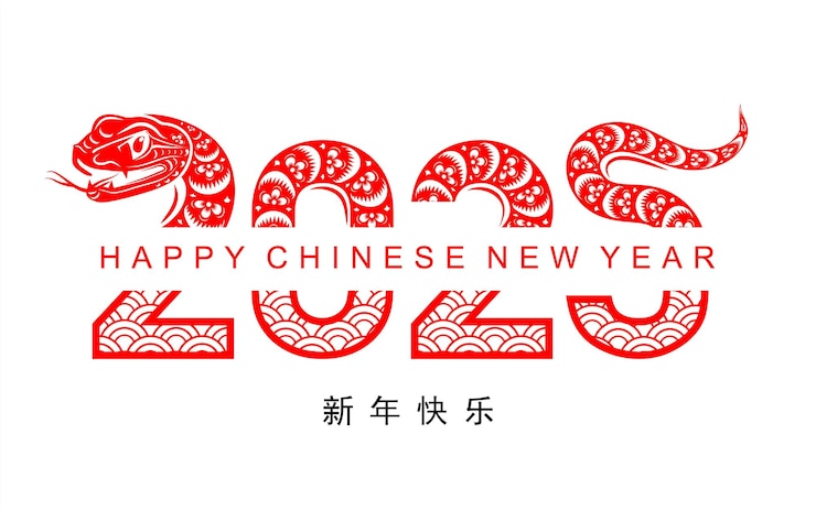 Vector happy chinese new year 2025 the snake zodiac sign with flowerlanternasian elements red paper cut