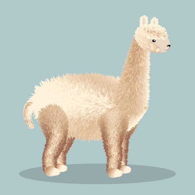 Vettore illustrazione di alpaca carino felice vettore premium