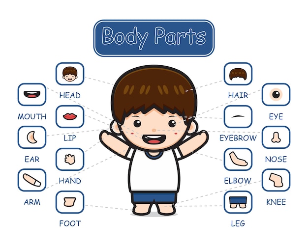 Happy cute kid boy body part anatomy cartoon icon clipart illustration. design isolated flat cartoon style