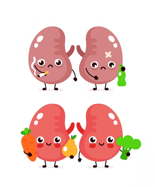 Happy cute smiling healthy with broccoli and apple and sad sick kidneys with bottle of alcohol and cigarette. modern cartoon character illustration icon design. healthy and unhealthy kidneys